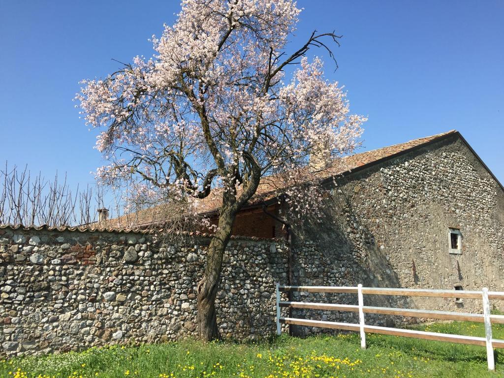 ロナート Antico Cascinale Lombardo Bed & Breakfast エクステリア 写真